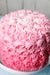 close-up-pink-rosette-cake-mrtsbakery